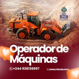 Operador de Giratória