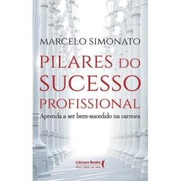 Pilares do Sucesso Profissional